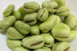 旬のたべもの♪そら豆