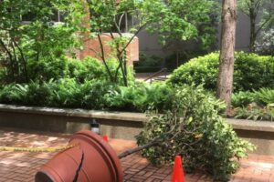 強風にご注意ください🍃😫🍃