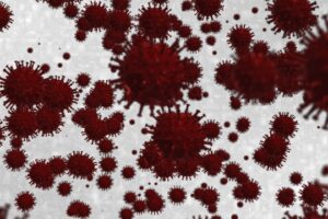 二パウイルス🤒