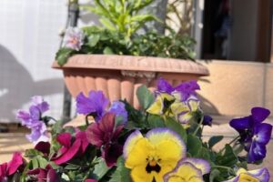 毎日寒いですね(‘Д’)