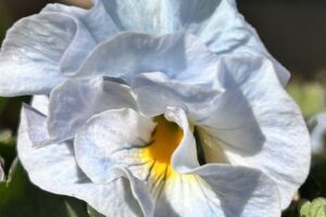 日が伸びてきました(*^^*)