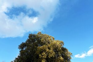 2月最後の日です😊