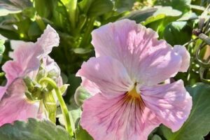 暖かかった一日