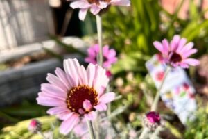 よく降りましたね(^-^;