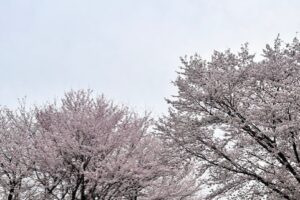 明日からの値上げ
