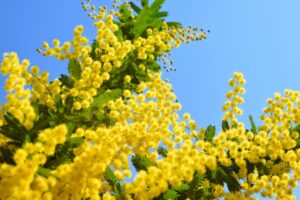 国際女性デー😊