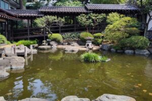 観光地の池の話☺️