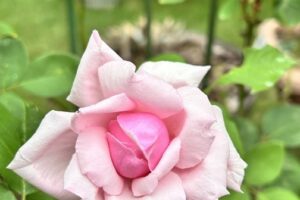 エアコンを消す？つけっぱなし？
